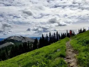 Lost Moose Campground