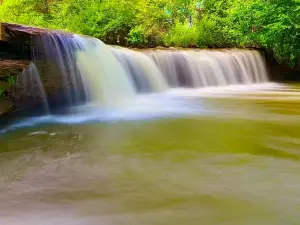 Albert Falls