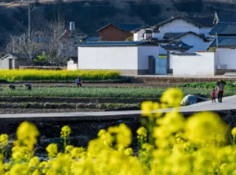 เมืองเก่าซาซี