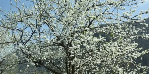 巴人河生態旅遊區(三峽女人谷)