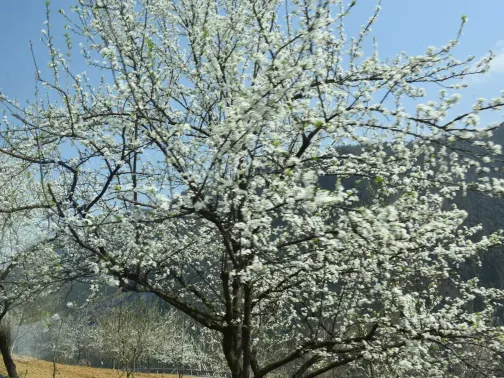 巴人河生態旅遊區(三峽女人谷)