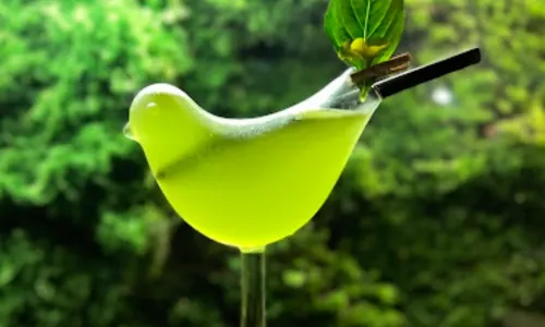 XÀO XẠC BAR - Quán Rượu Dưới Hiên