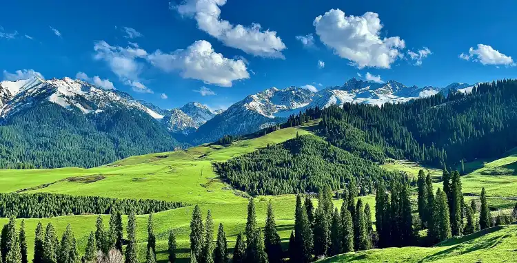 Gongliu