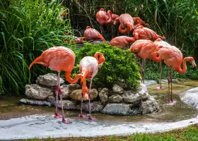 Lisbon Zoo