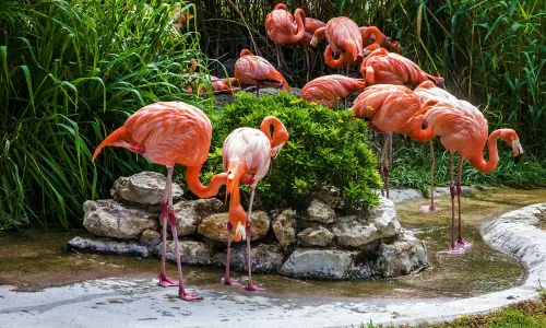 zoo di Lisbonne