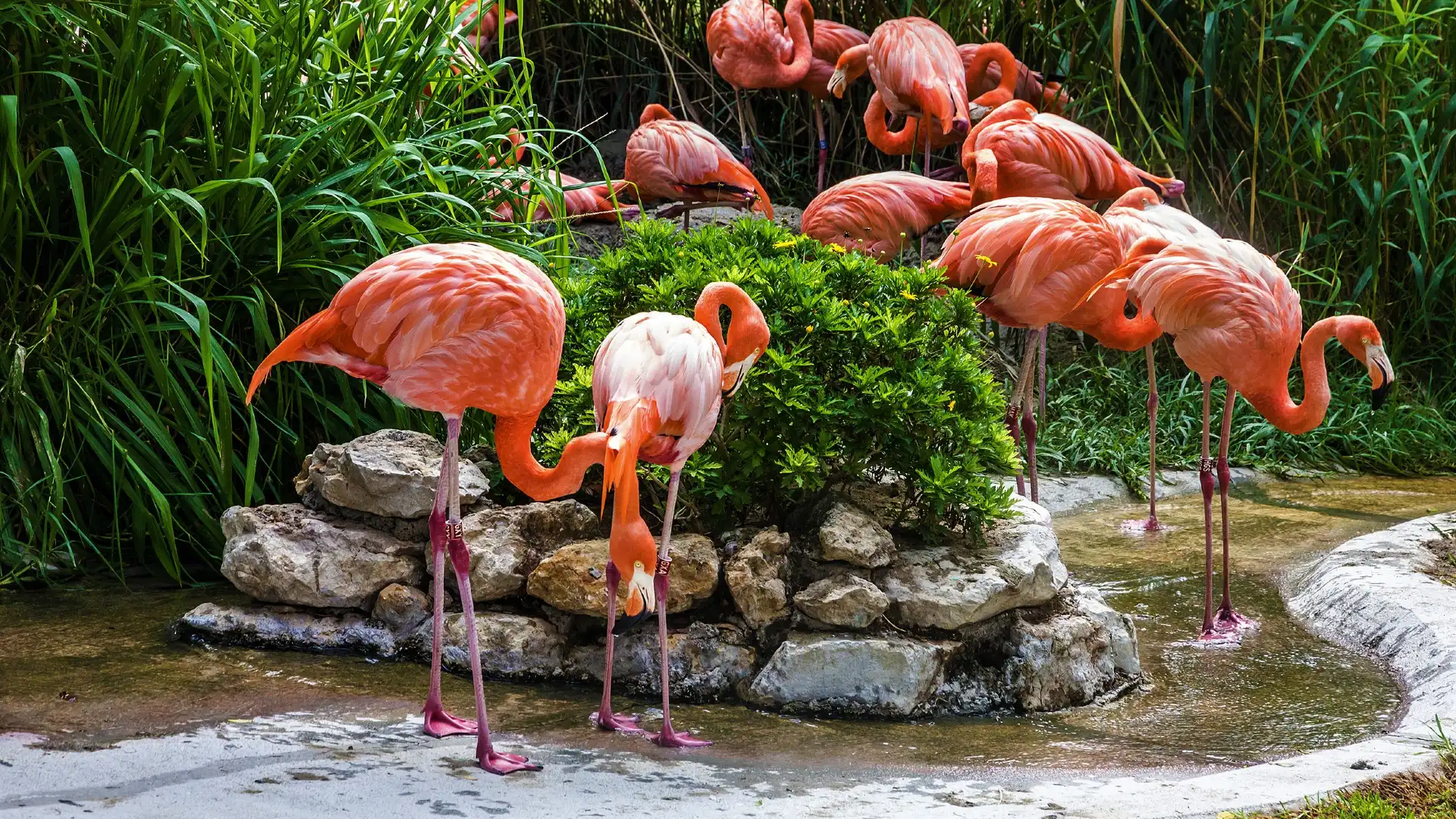 Hotels near Lisbon Zoo
