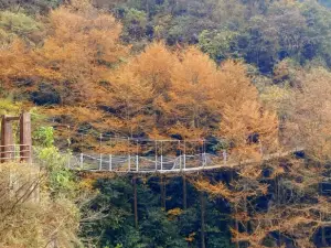Tianmu Mountain