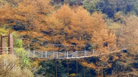 Tianmu Mountain Xinchang attraction in Shaoxing