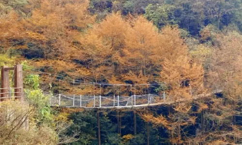 Tianmu Mountain