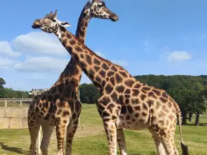 Longleat