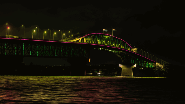 2025년 뉴질랜드 크리스마스의 벡터 램프 | 오클랜드