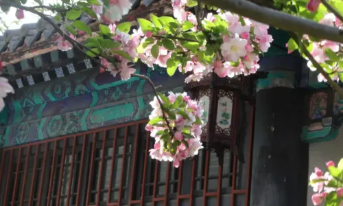 เมืองเก่าซิงเชิง