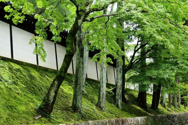 東福寺