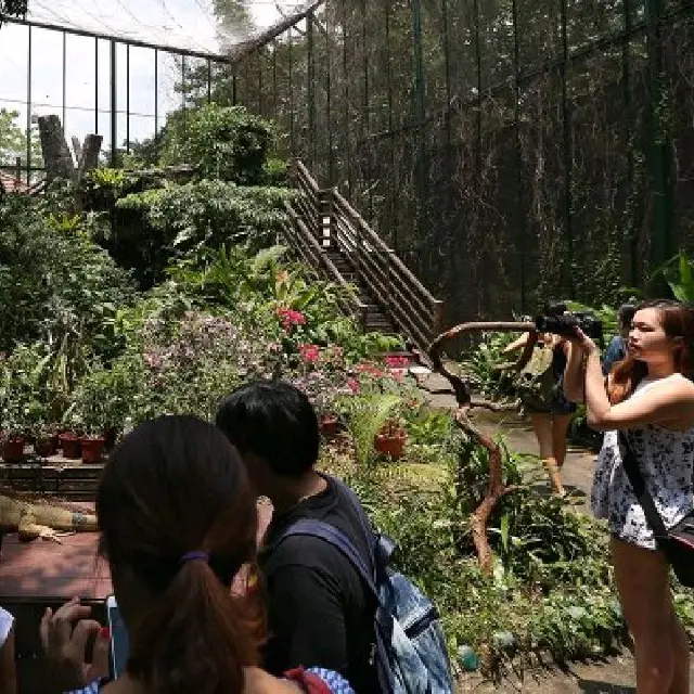 Popular Butterfly Park in Singapore