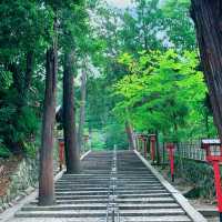 京都　神々が集まられる場所