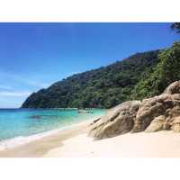 Turtle Sanctuary Beach