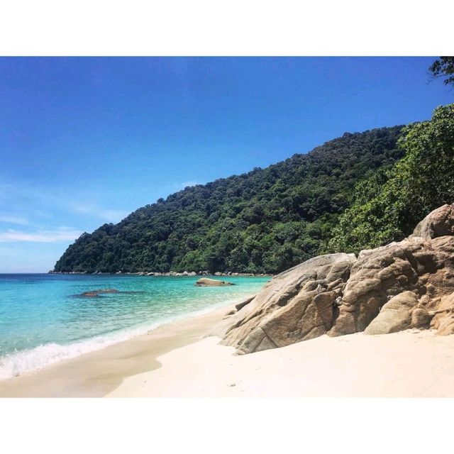 Turtle Sanctuary Beach