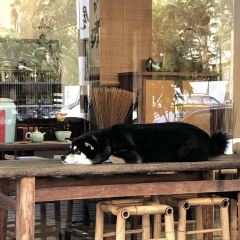 茶六燒肉堂 - 朝富店 여행 사진