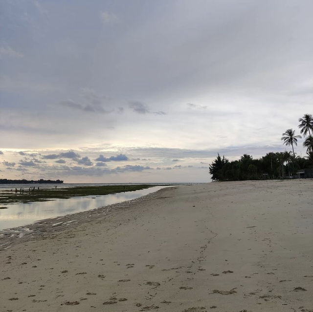 Sire beach