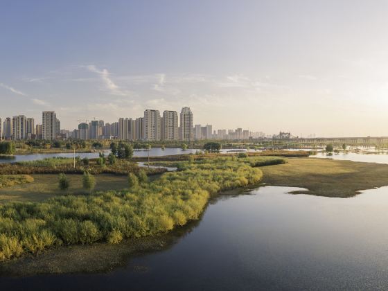 Qunli Guojia Chengshi Wetland Park