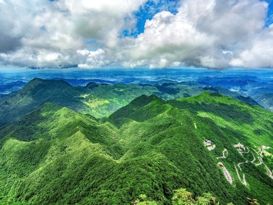 金佛山北坡景區