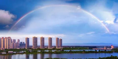 大亞灣紅樹林城市濕地公園