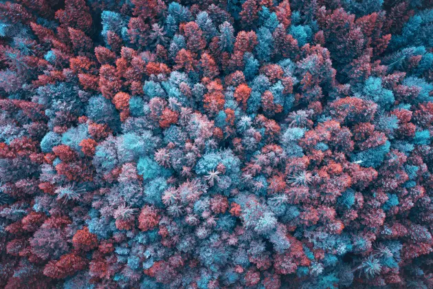 Отзывы об отеле Chanyuan • Shuiju High-quality Zen Theme Inn