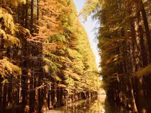 Top 10 Fall Viewing Attractions in Huai'an