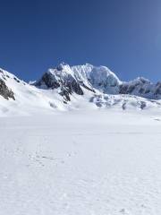 The Helicopter Line Fox Glacier