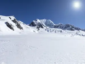 福克斯冰川直升機