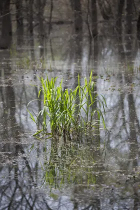 Kaiyuan Manju Hotel (Chuzhou Shuishi Plaza)