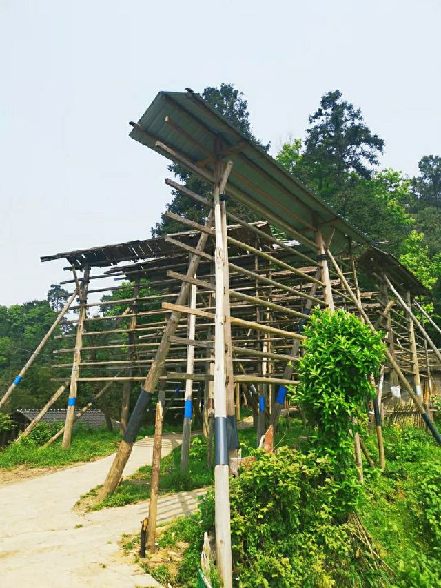 Basha Miao Nationality Village