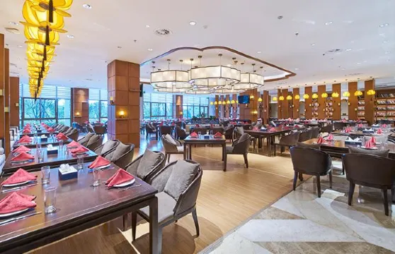 九華山阿爾卡迪亞温泉度假酒店·餐廳