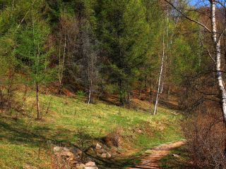 平泉行き直行便