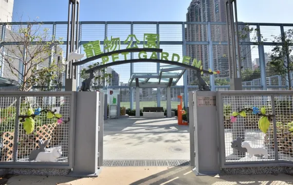 【2026寵物公園】12個狗公園推薦!全港室內外寵物好去處