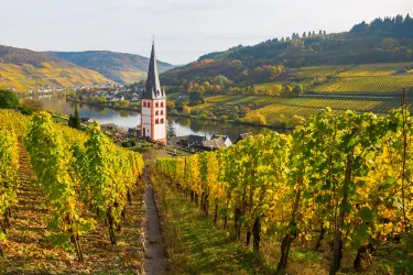 Rhineland-Palatinate