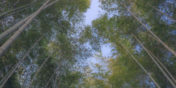Renshou Mountain Park