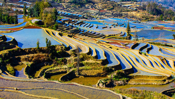 Laohuzui Terraced Field