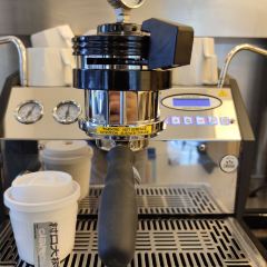 Cunkou Big Tree User Photo