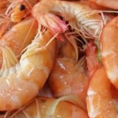 渡海小漁村·日照本幫菜（連雲港路店）張用戶圖片