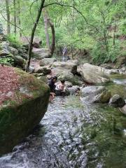 白雲山自然休養林