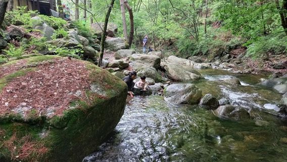 Baegunsan Nature Recreation Forest