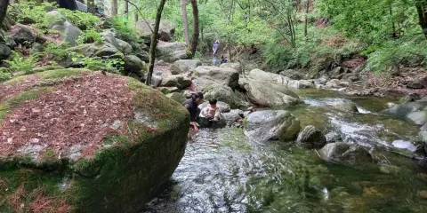 白雲山自然休養林