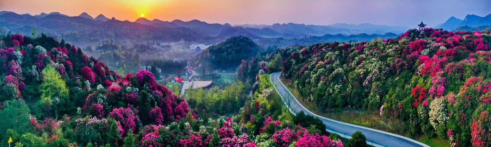 DafangTours