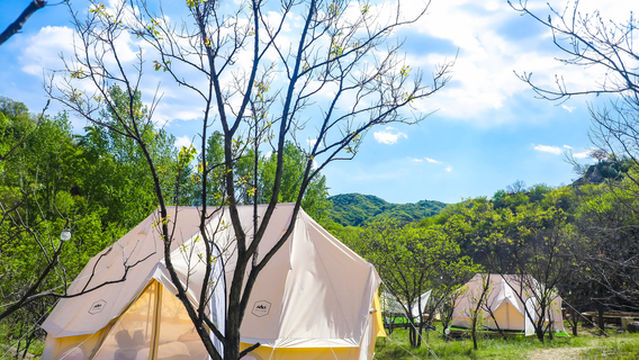 Star Valley Campsite