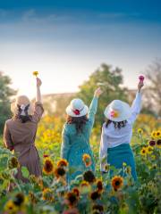 Story of Sunflower, Huaian