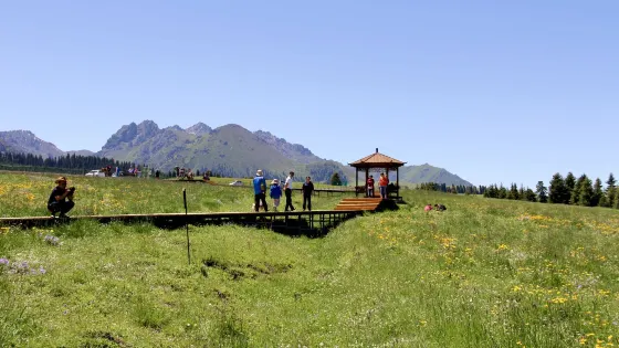 南山白楊溝風景區