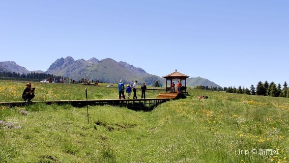 Nanshan Baiyanggou Scenic Area