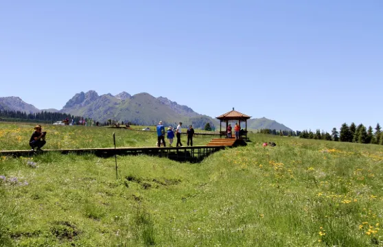 南山白楊溝風景區【包車】烏魯木齊市區-南山西白楊溝景區來回接駁車大小同價