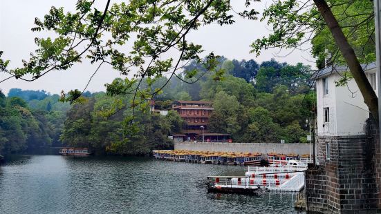 朝陽湖沿湖山巒有樹藤花草，很是清幽...到了朝陽湖景區，感覺